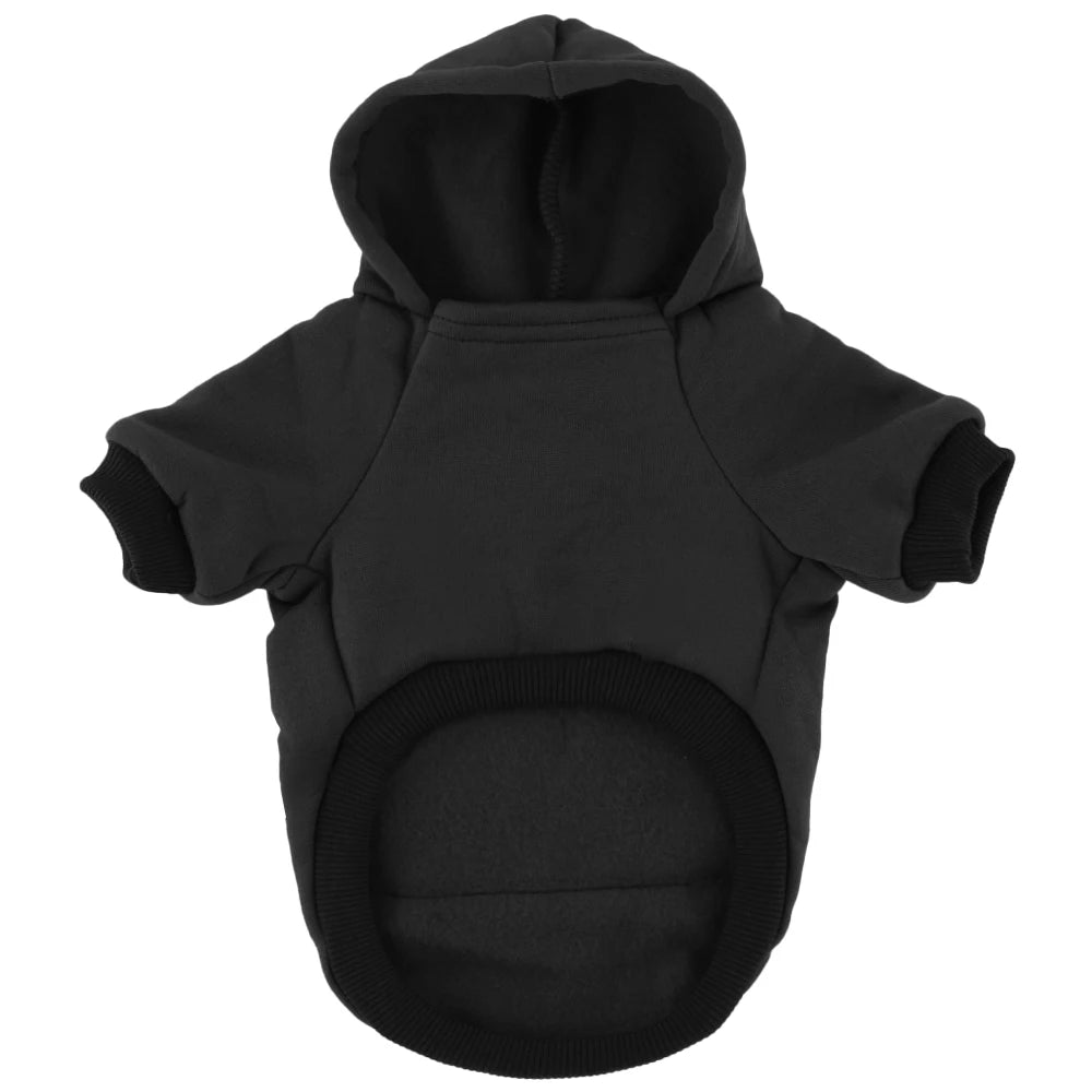 Pawordan Hoodie