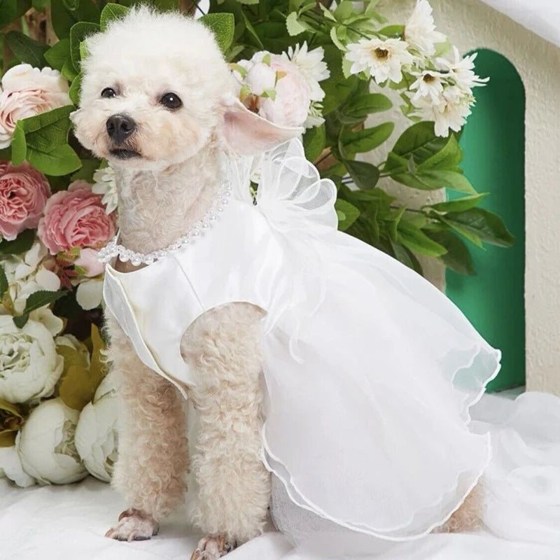 Bridal Wedding Dress