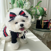 Gucchi Dress and Hair Tie