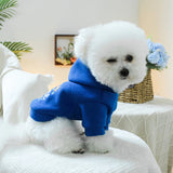 The Prince Has Arrived Hoodie