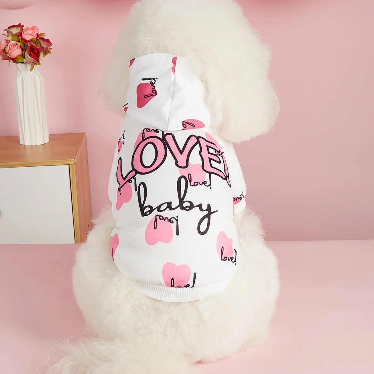 Love Baby Hoodie