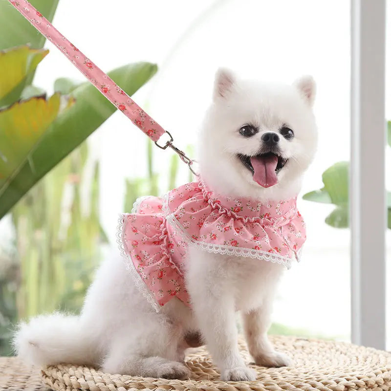 Floral Ruffle Harness and Leash