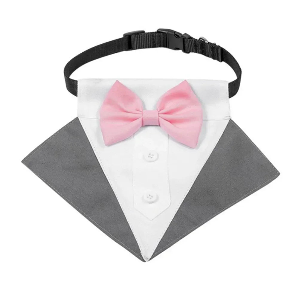Tuxedo Bandana Collar