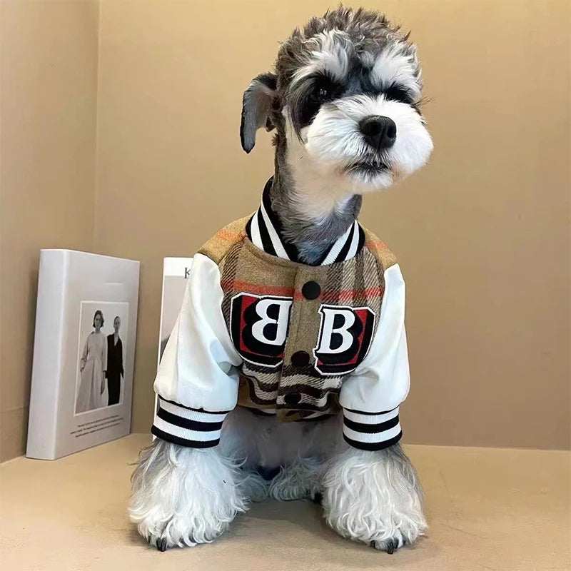 Purberry Baseball Jacket