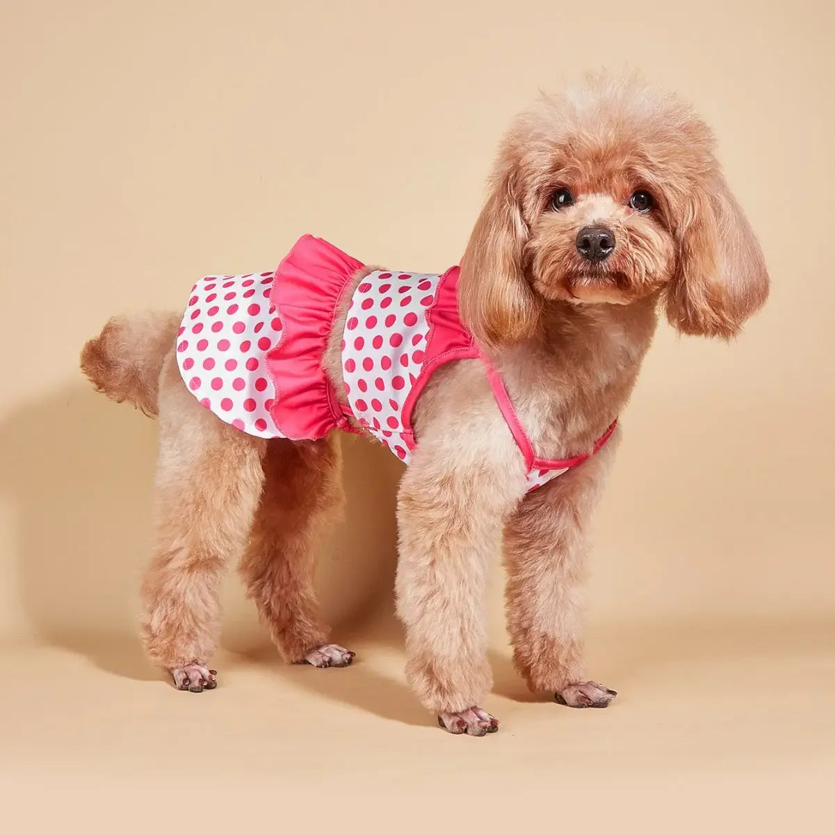 Polka Dots Ruffle Swimsuit