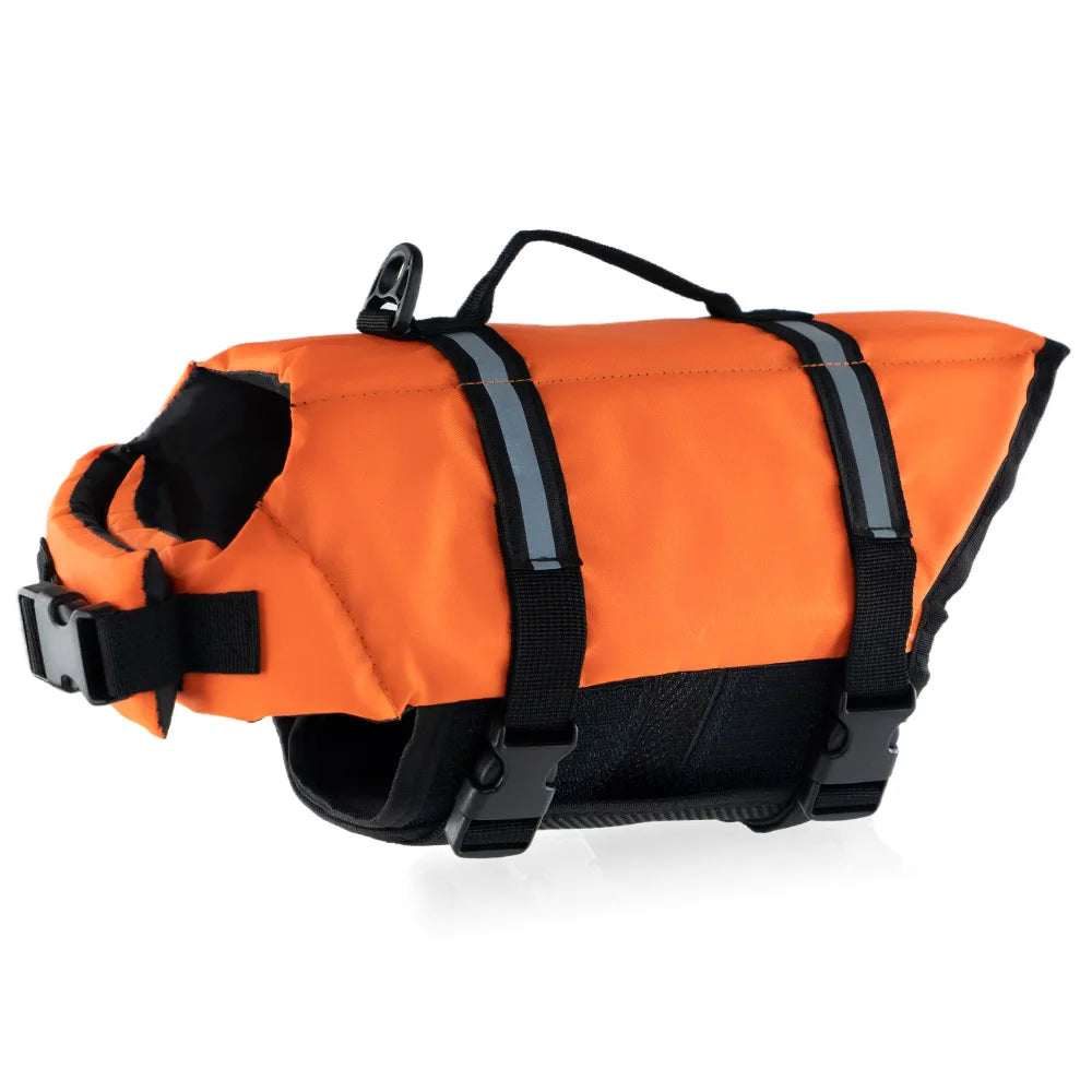 Vibrant Color Life Jacket