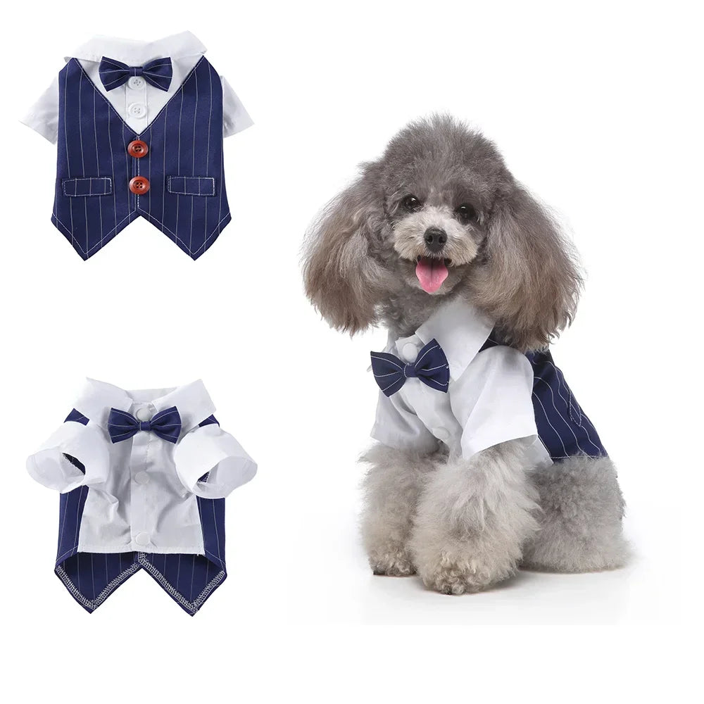 Tie Suit
