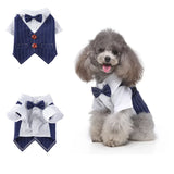 Tie Suit