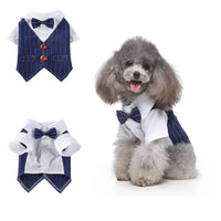 Tie Suit