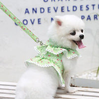 Floral Ruffle Harness and Leash