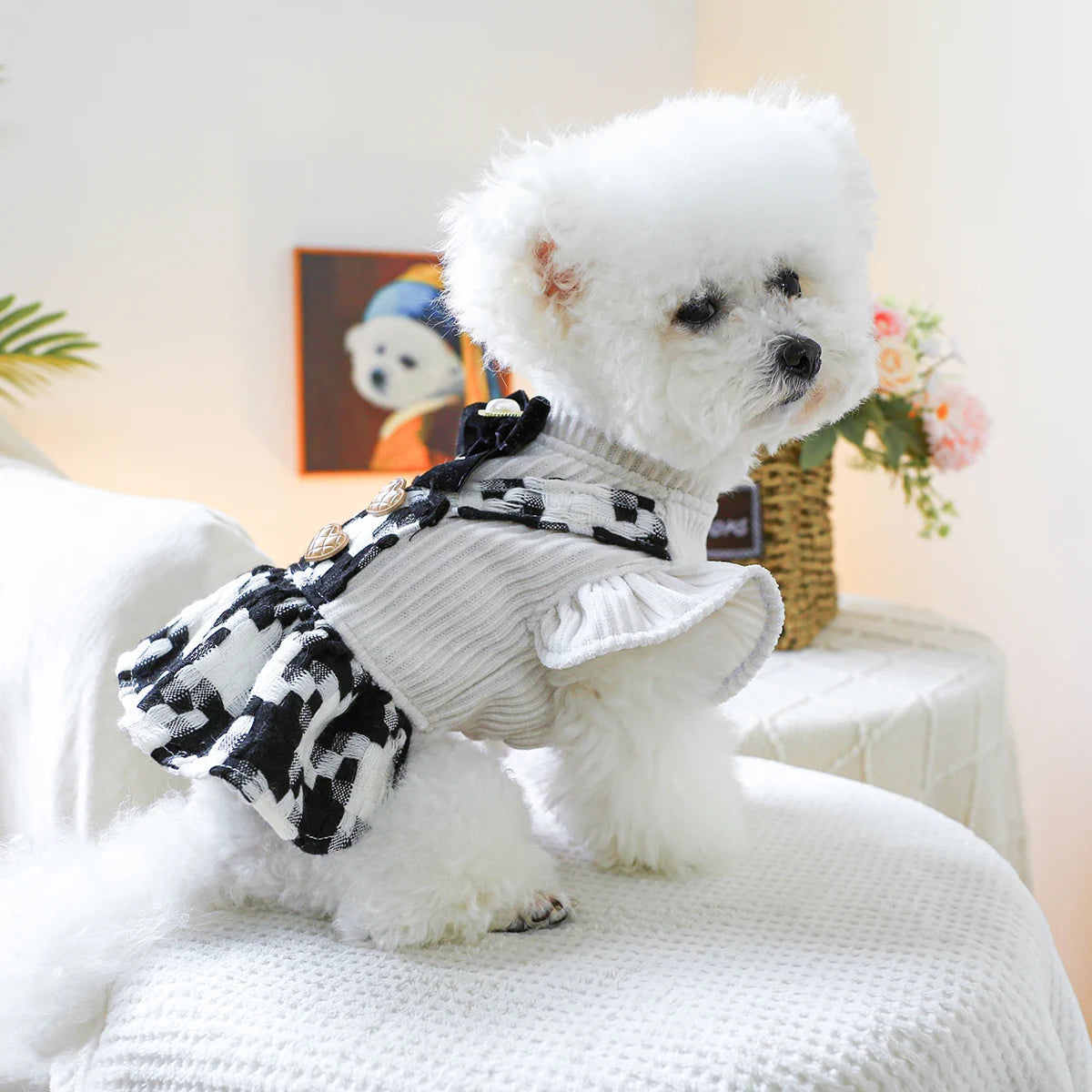 PawTweed Paris Dress