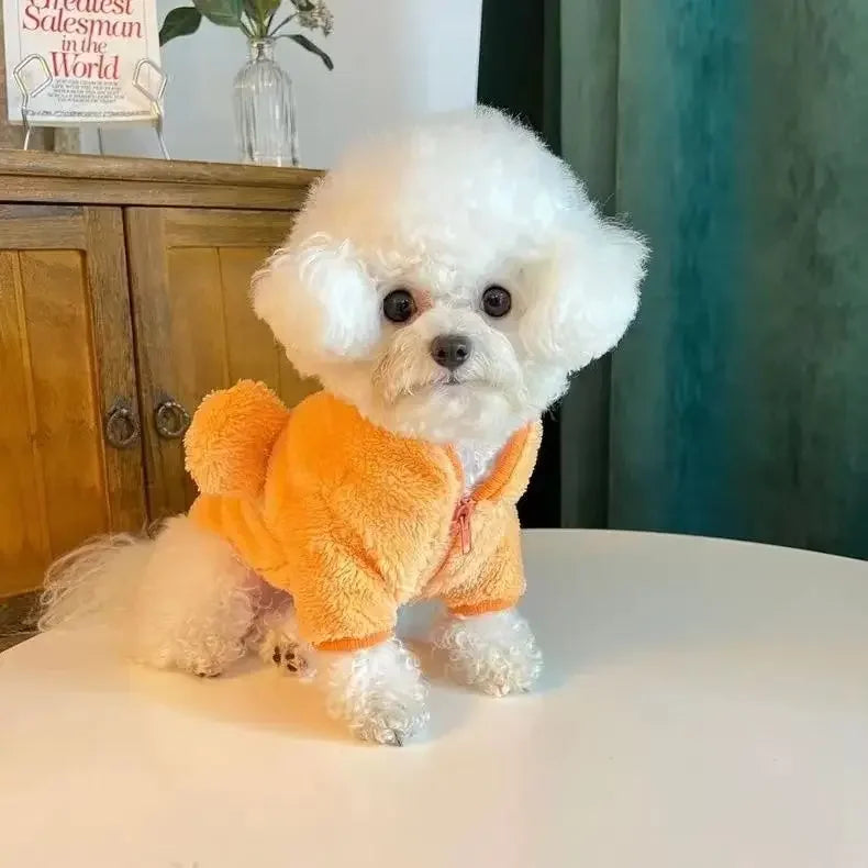 PawBear Plush Jacket