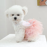 Butterfly Tutu Dress