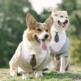 Business Tie Suit