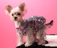 Princess Sequin Dress