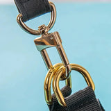 Chewnel Harness and Leash