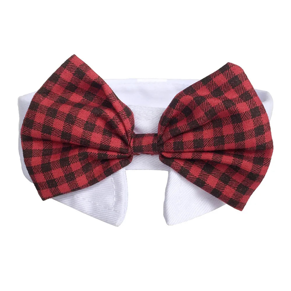 Bowtie Collar