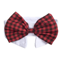 Bowtie Collar