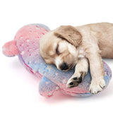 Luminous Glow in the Dark Pet Pillow