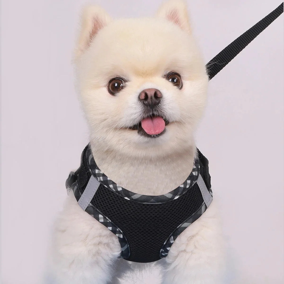 Supet 1pc Dog Harness, Anti-Pull, Pet Harness, Adjustable, Easy to Control, Suitable for Small, Medium Dogs