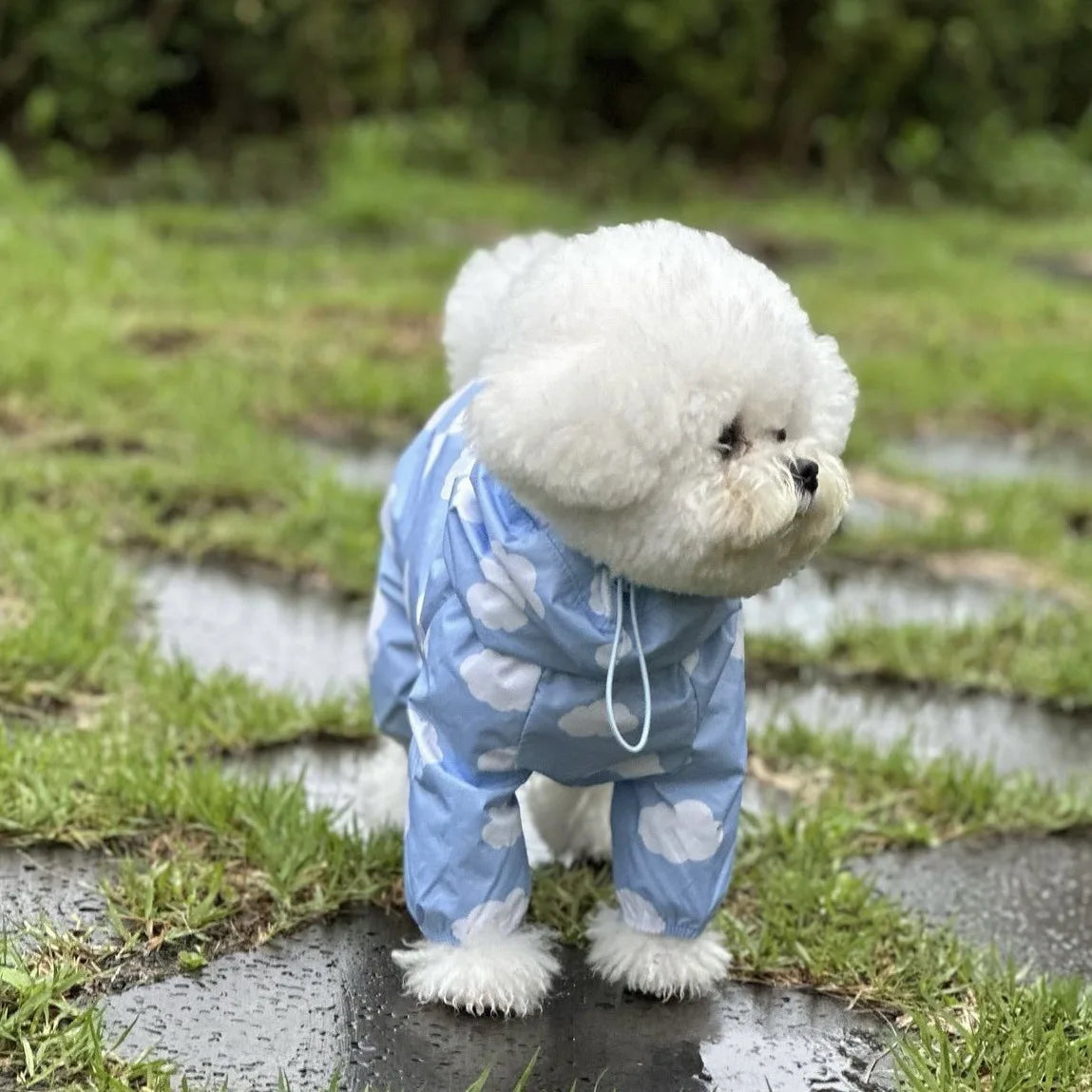 PawCute Raincoat Jumpsuit