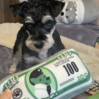 Canine Cash Plush Toy
