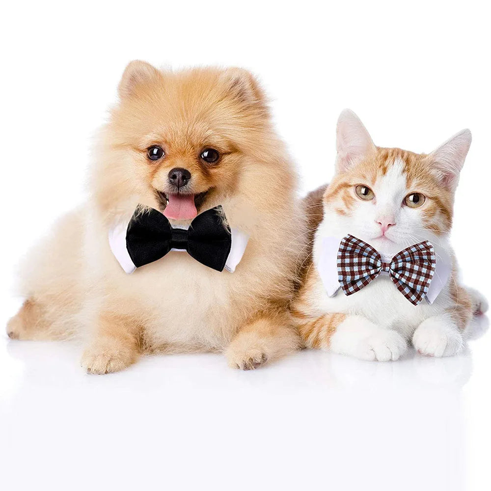 Bowtie Collar