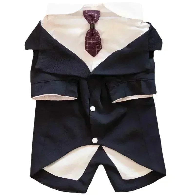 Business Tie Suit