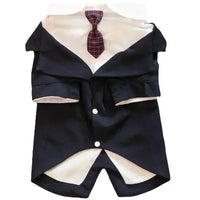 Business Tie Suit