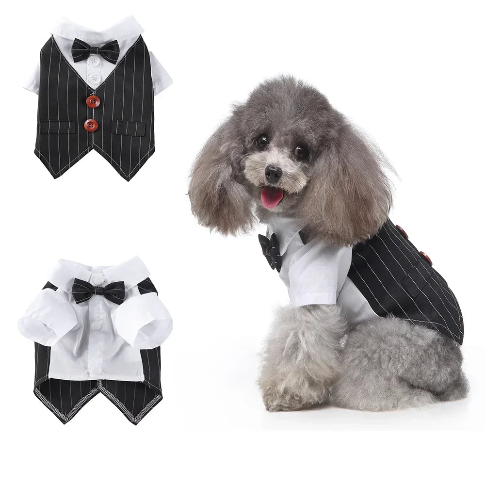 Tie Suit