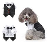 Tie Suit