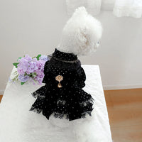 Velvet Royale Dress