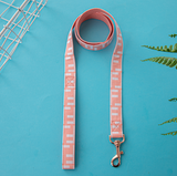 Furendi Harness and Leash