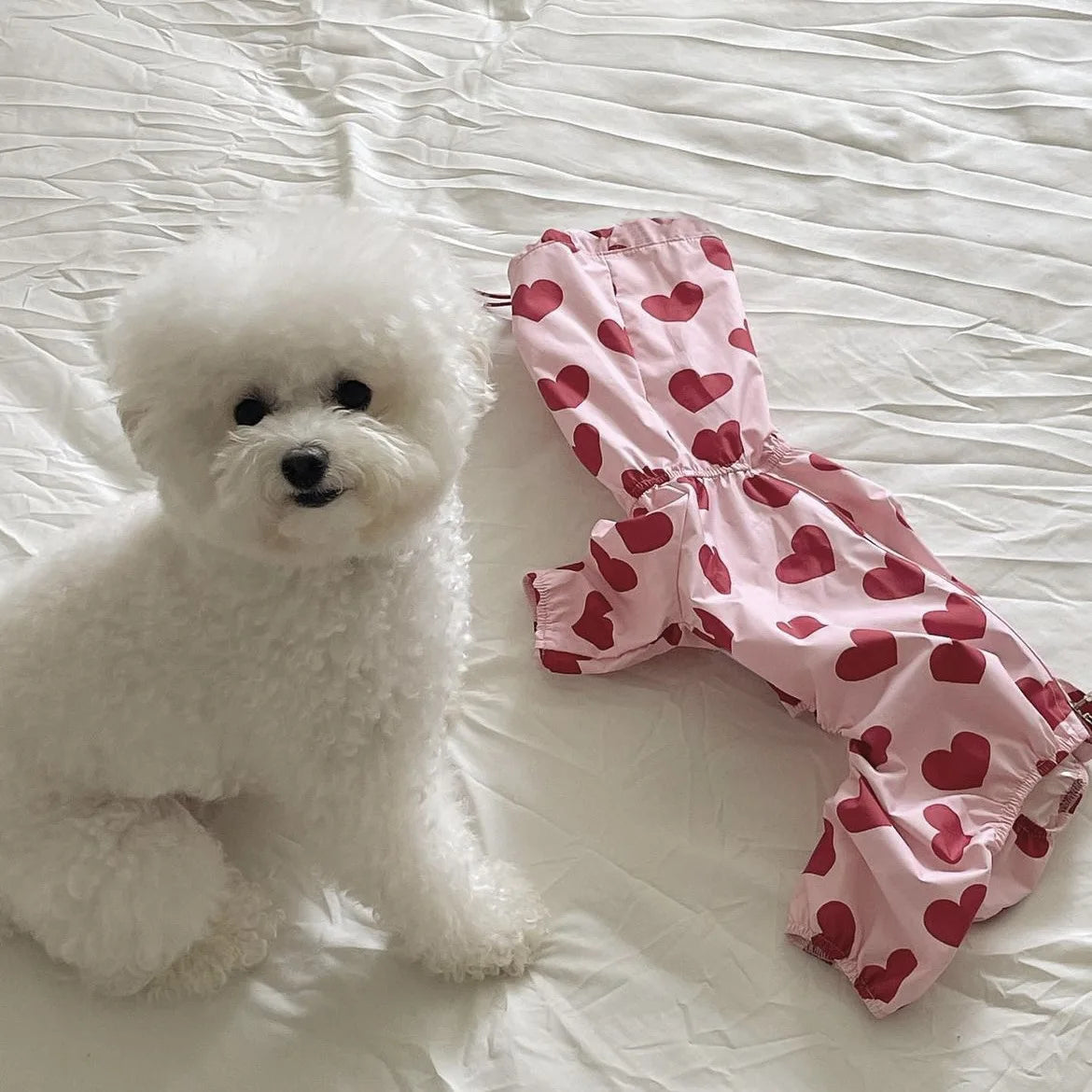 PawCute Raincoat Jumpsuit