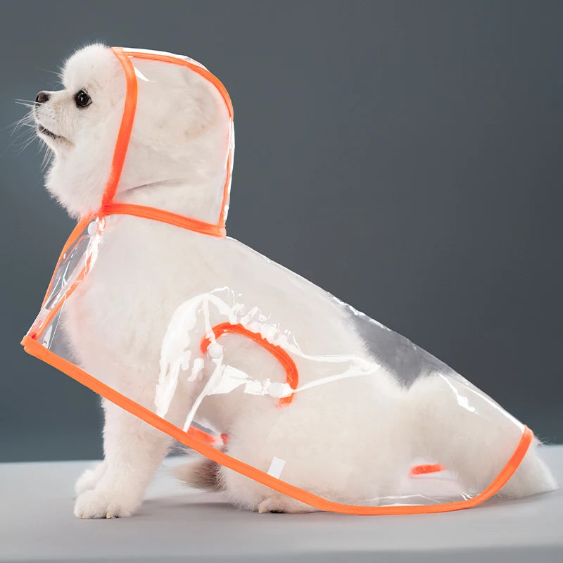 Transparent Hooded Raincoat