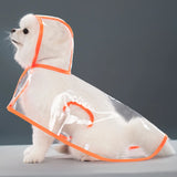 Transparent Hooded Raincoat