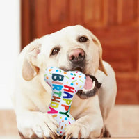 Happy Birthday Bone Plush Toy