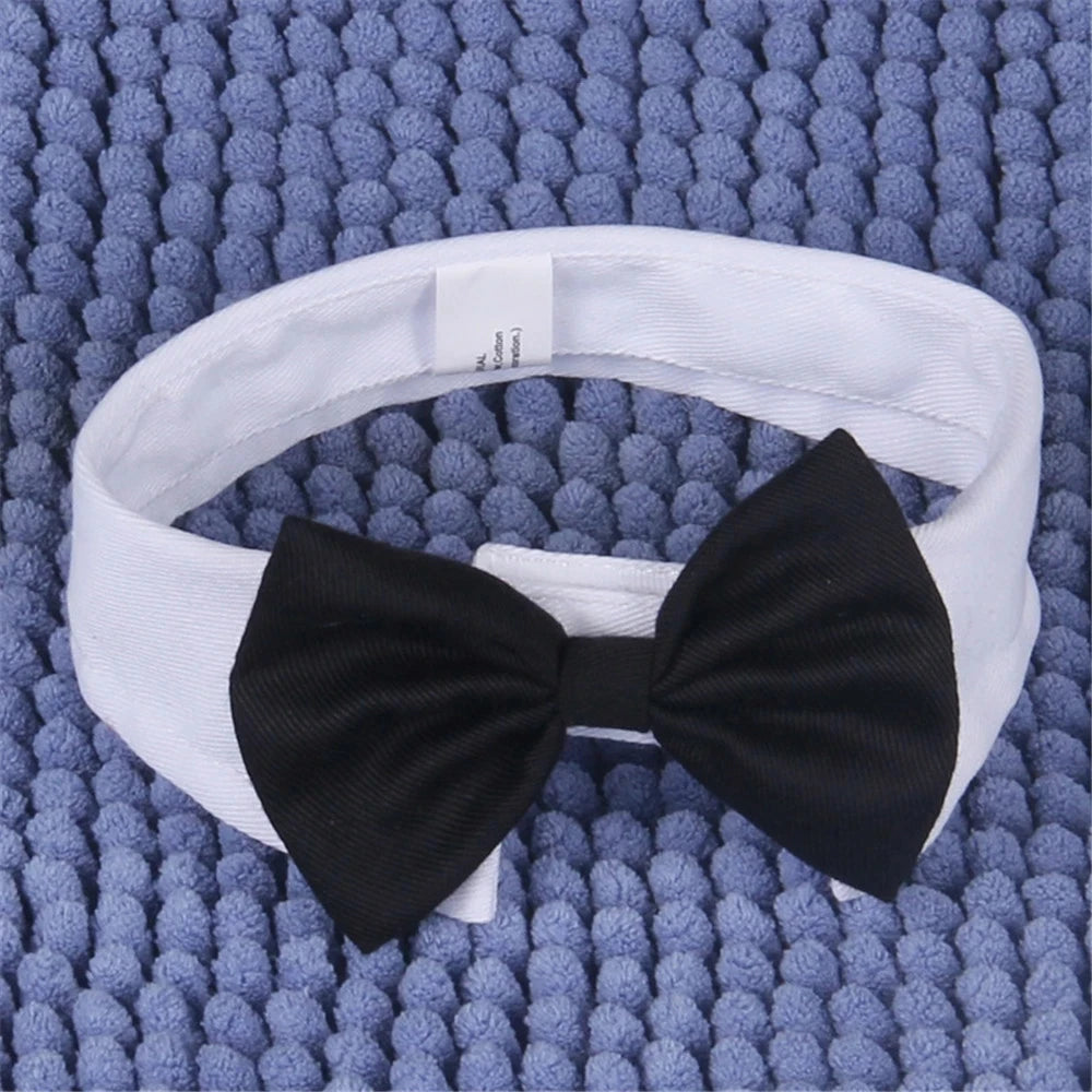 Bowtie Collar