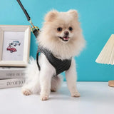 Chewnel Harness and Leash