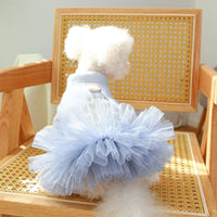 Crown Princess Dress