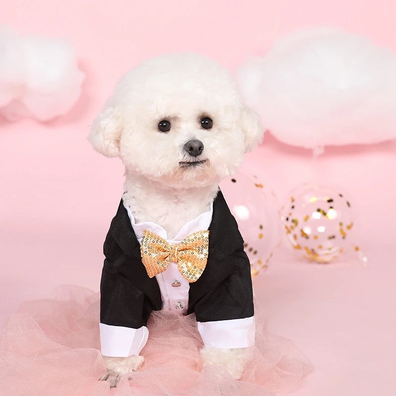 Gold Bow Tuxedo Suit