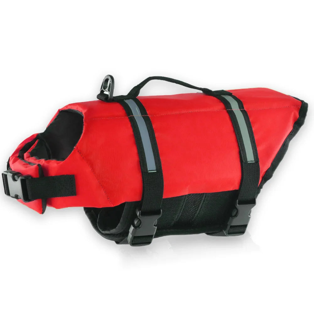 Vibrant Color Life Jacket