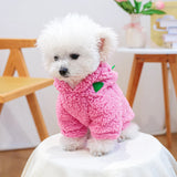 Dragon Fruit Flannel Hoodie