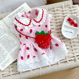 Strawberry Dress