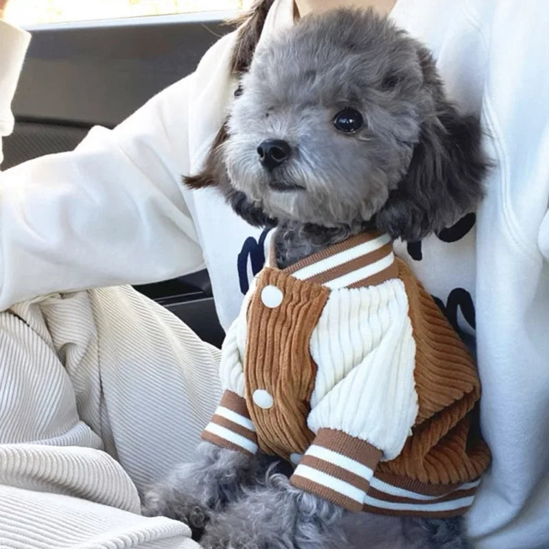 Corduroy Baseball Jacket