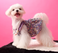 Princess Sequin Dress