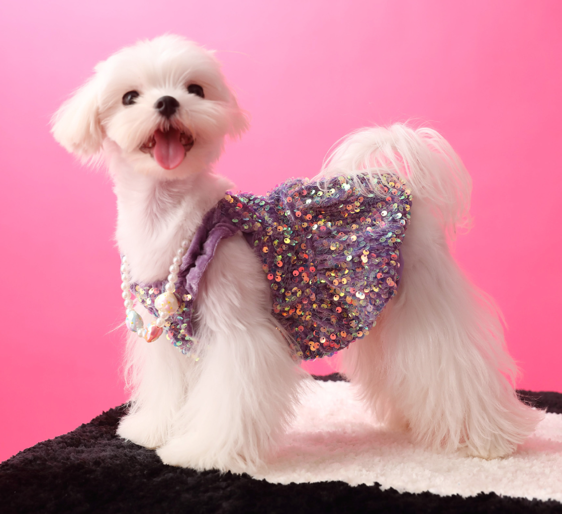 Princess Sequin Dress