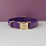 Velvet Luxe Personalized Collar