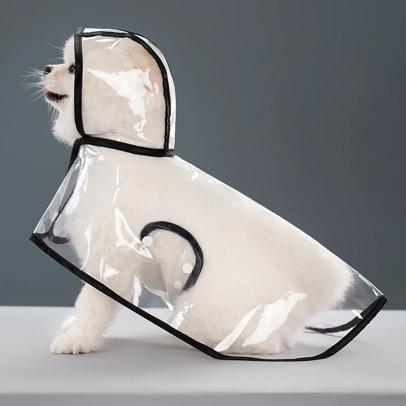 Transparent Hooded Raincoat