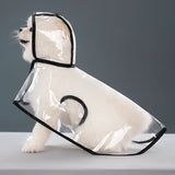 Transparent Hooded Raincoat